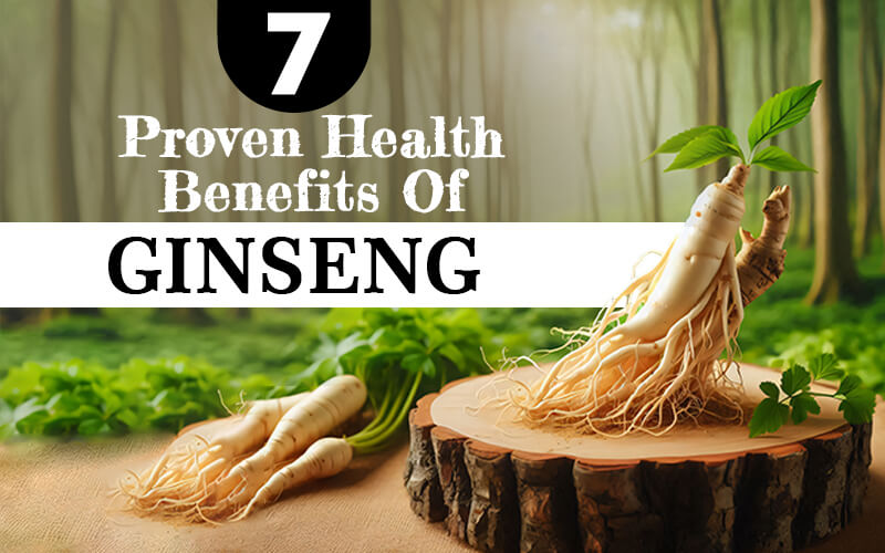 7 Proven Health Benefits Of Ginseng For Wellness And Vitality